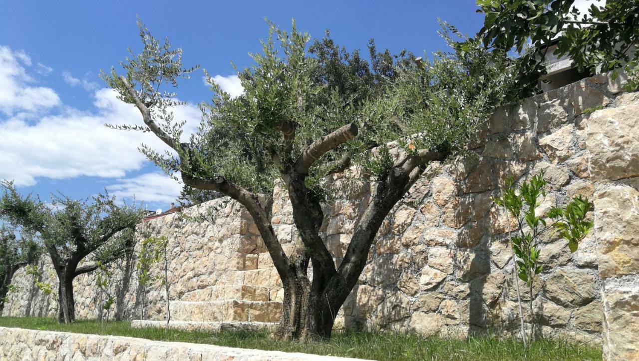 Apartmani Goga Starigrad Paklenica Dış mekan fotoğraf