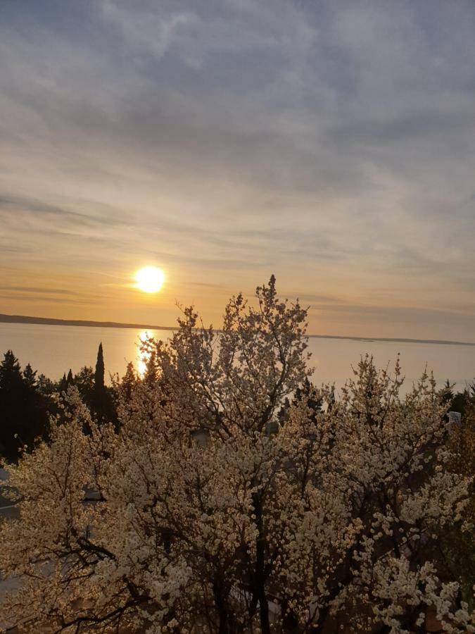 Apartmani Goga Starigrad Paklenica Dış mekan fotoğraf